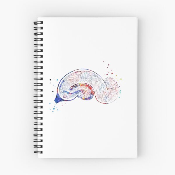 Item preview, Brain Pyramidal, Neurons, hippocampus designed and sold by Rosaliartbook.