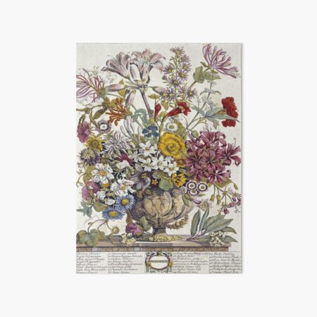 Robert Furber - Twelve Months Of Flowers