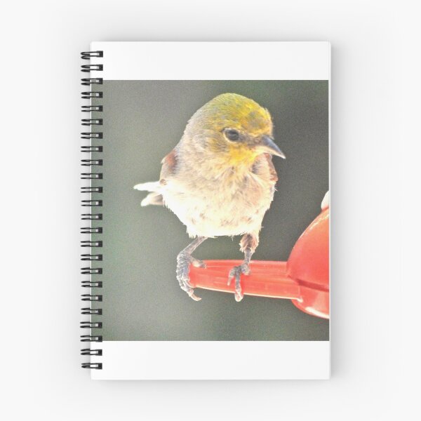 Item preview, YELLOW HEADED WARBLER ON PERCH designed and sold by JAYMILO.
