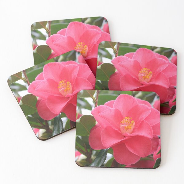 Item preview, Pink Camellia  designed and sold by pinkal.