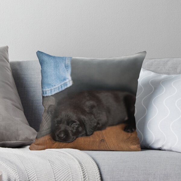 Item preview, Sleepy Puppy on feet designed and sold by RedGrouse.
