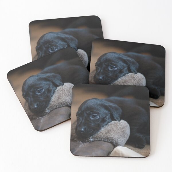Item preview, Puppy Rests on Slipper designed and sold by RedGrouse.