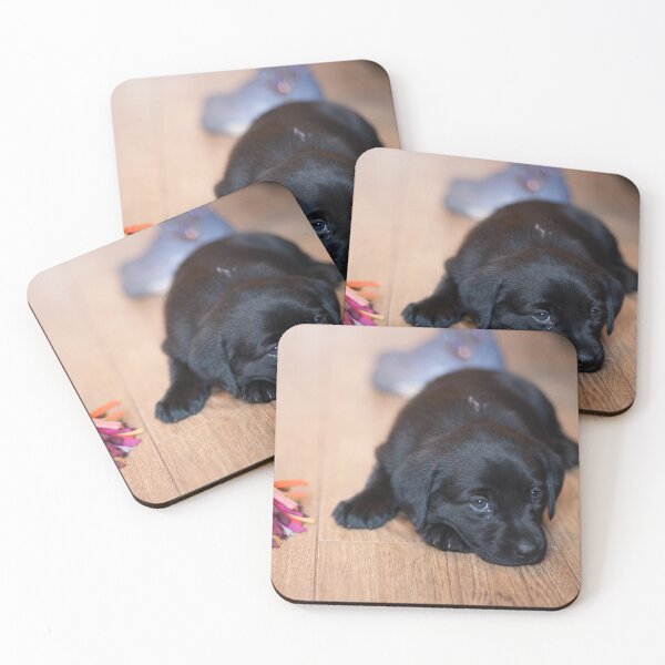 Item preview, Puppy Toys designed and sold by RedGrouse.