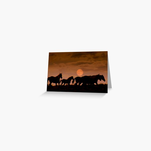 Miles To Go Greeting Card