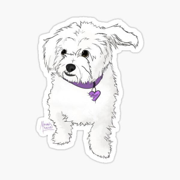 Item preview, Maltipoo designed and sold by chromacaim.