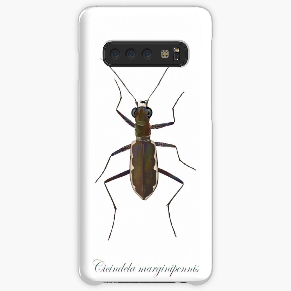 Cobblestone tiger beetle, Cicindela marginipennis Case & Skin for Samsung Galaxy