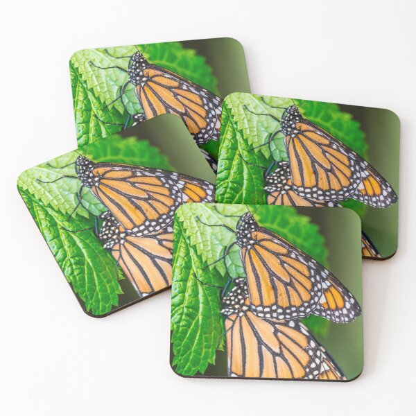 Item preview, Pair of Monarch butterflies ( Danaus plexippus) designed and sold by Martin Leber.