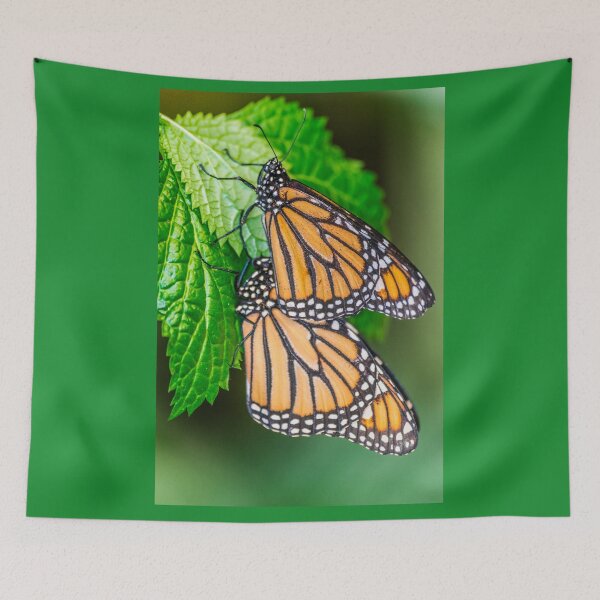 Item preview, Pair of Monarch butterflies ( Danaus plexippus) designed and sold by Martin Leber.