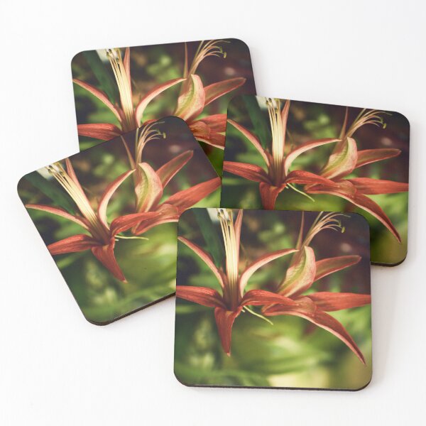 Item preview, Acrobatics designed and sold by Melanie Uadjit.
