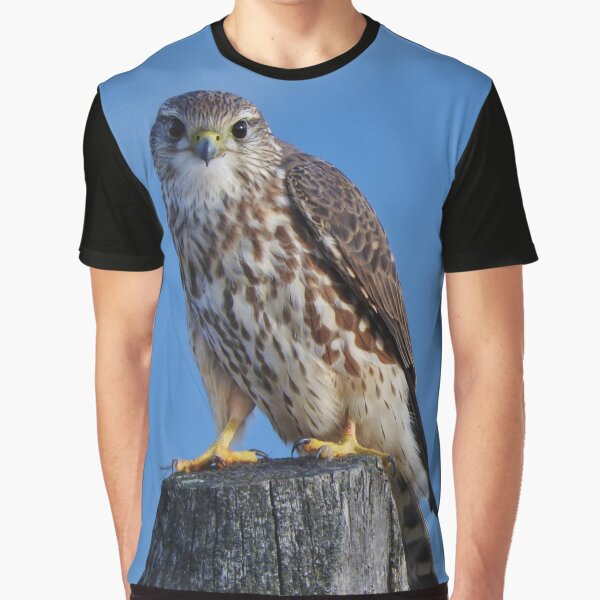 Hey. Graphic T-Shirt