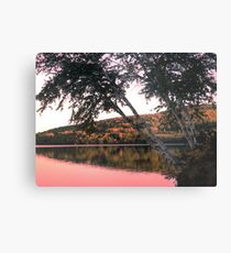 Autumn Morning Metal Print