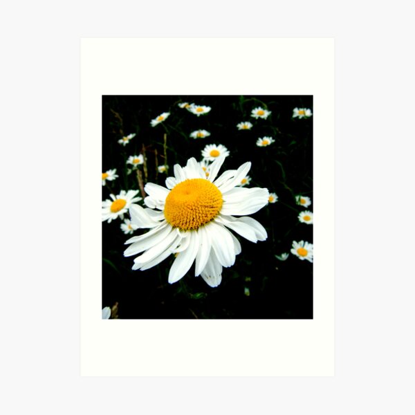 Identity of Breath Art Print