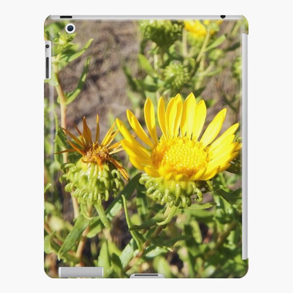 Sticky Gumweed iPad Snap Case