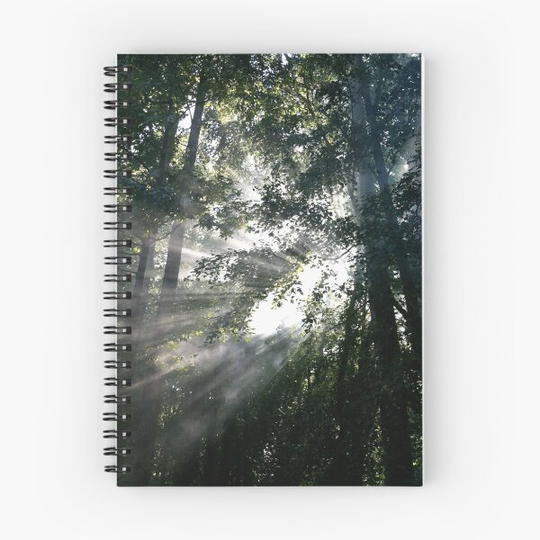 Item preview, Rays designed and sold by CleanSlate.