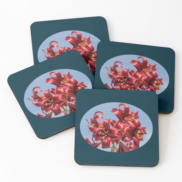 Artikelvorschau, Geschenkidee Foto rote Blume, Lilie, Naturschutz entworfen und verkauft von Katja LebenFreude.