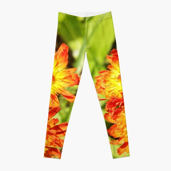 Hawkweed Leggings
