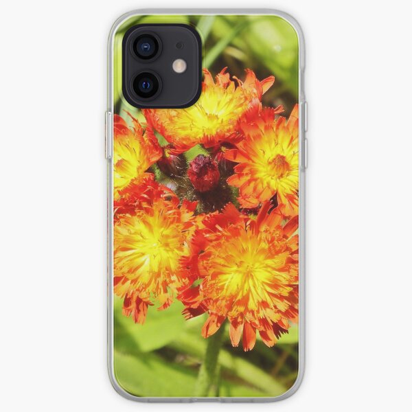 Hawkweed iPhone Soft Case