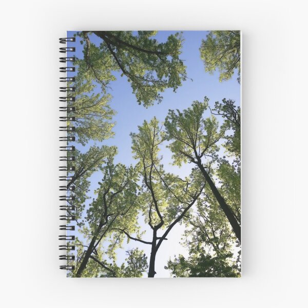 Item preview, Trees designed and sold by CleanSlate.