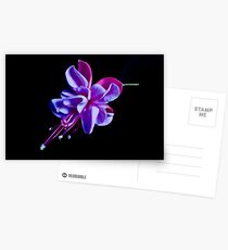 Fuchsia -- Heidi Ann III Postcards