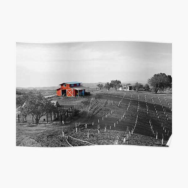 The Red Barn Poster
