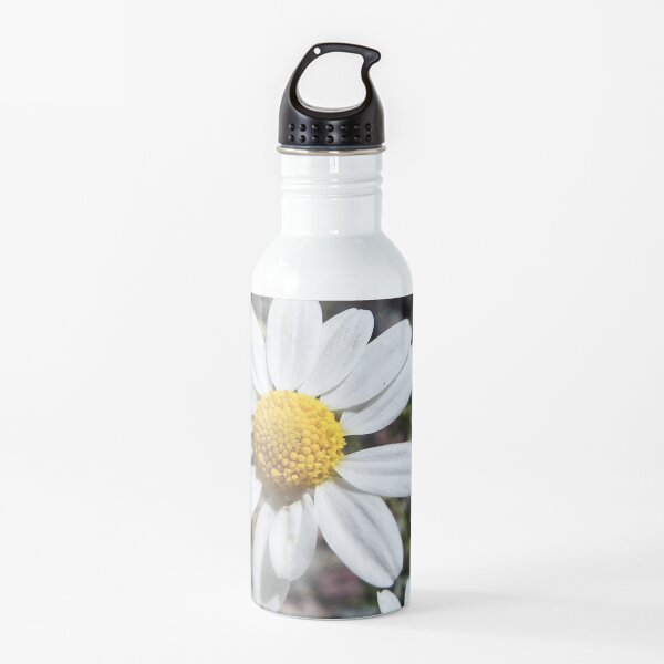 Mayweed wildflower Water Bottle