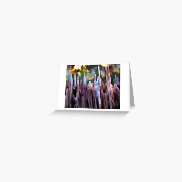 Reaching the Stars Greeting Card