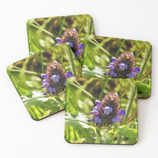 Self Heal Wildflower Coasters (Set of 4)