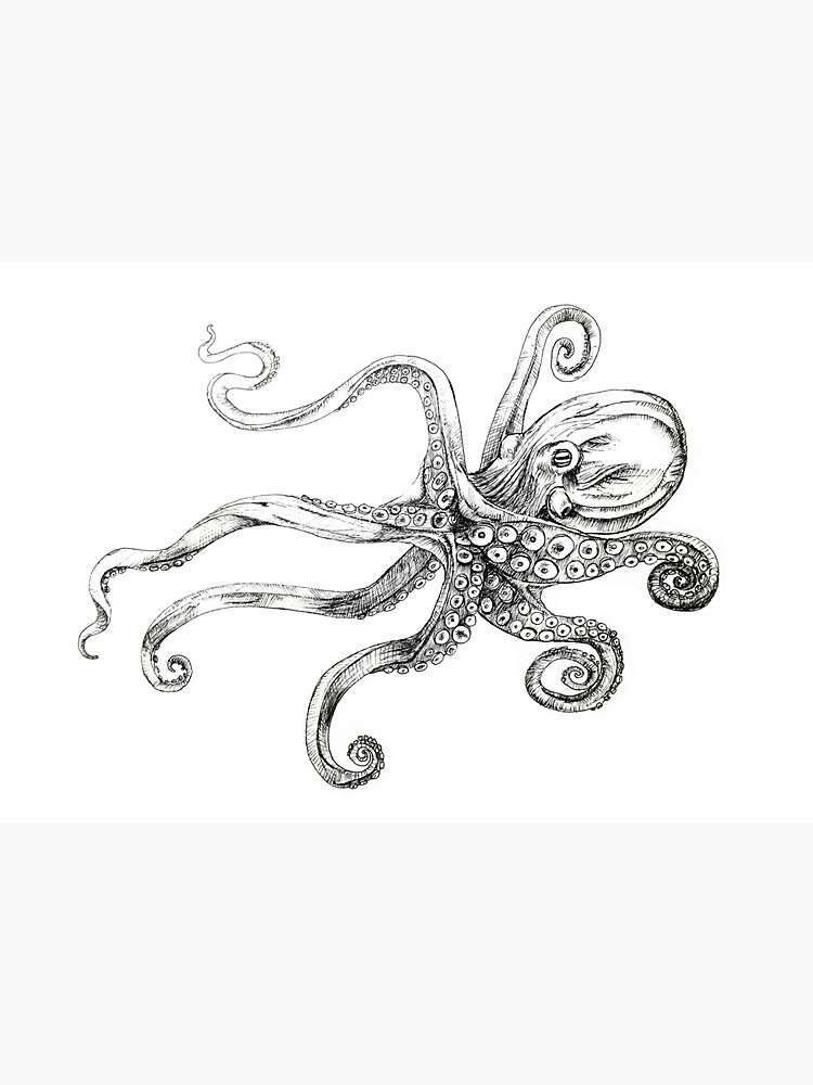 Magnificent Septupus Octopus Cephalopod by mainlyruby