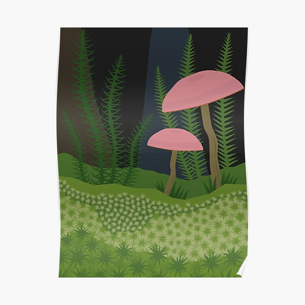 Mushrooms and Moss Poster