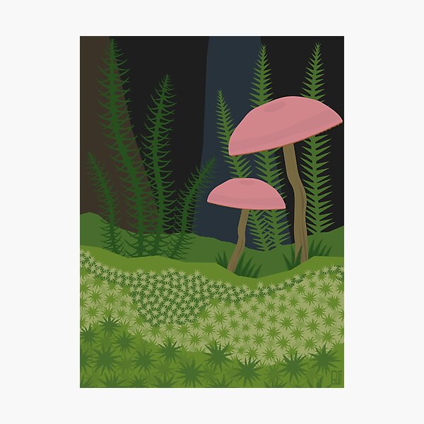 Mushrooms and Moss Photographic Print