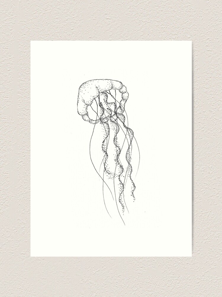 Jellyfish Lineart Art Print By Ann A Redbubble