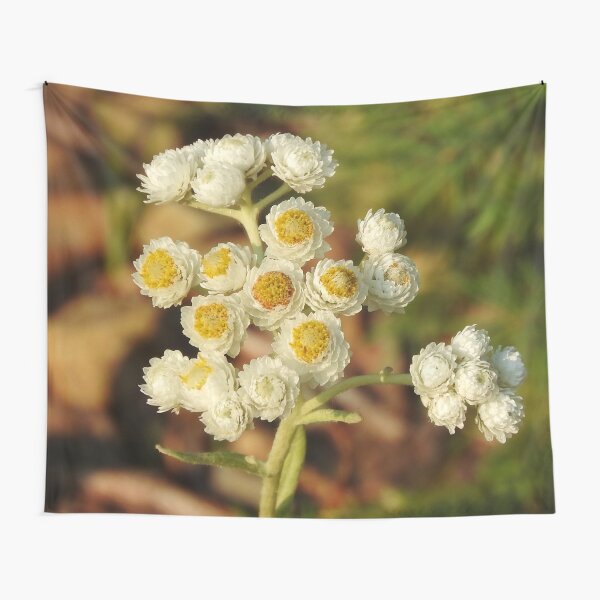 Pearly Everlasting Wildflowers Tapestry