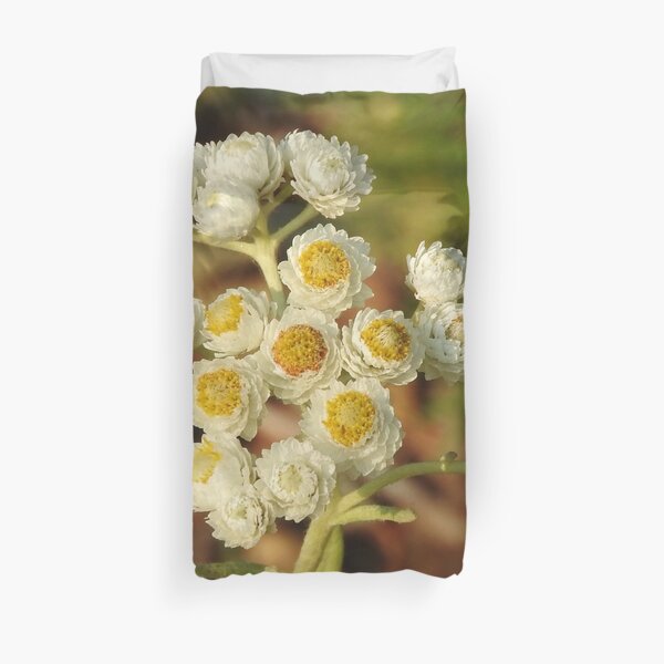 Pearly Everlasting Wildflowers Duvet Cover