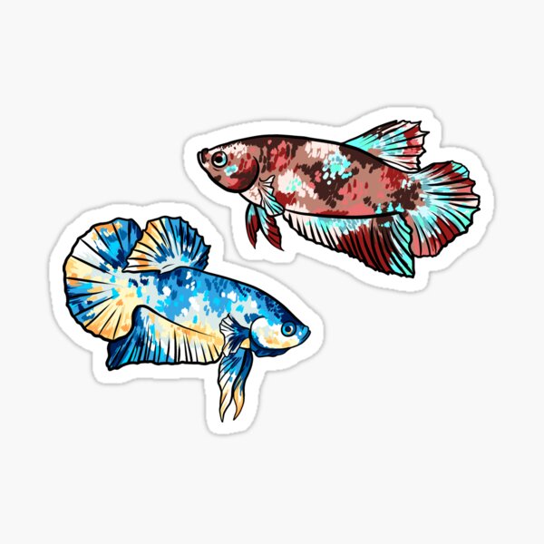 Vista previa del artículo con la obra «pegatinas koi betta», diseñado y vendido por Shaelyn Renée.