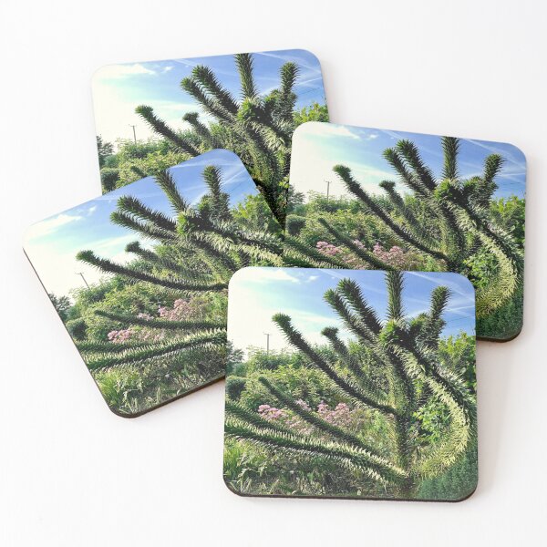 Item preview, monkey puzzle tree designed and sold by Mandi Collingridge.