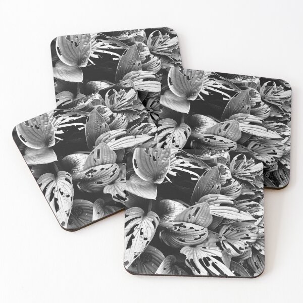 Item preview, monochrome hostas designed and sold by Mandi Collingridge.