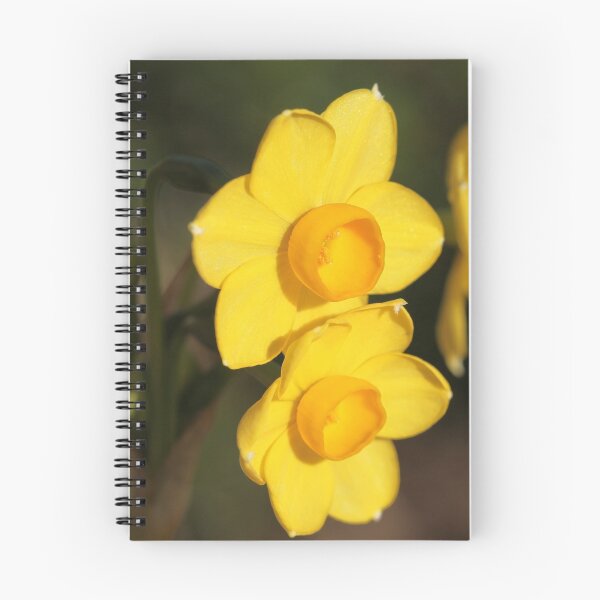 Item preview, Daffodil designed and sold by Peta Smith.