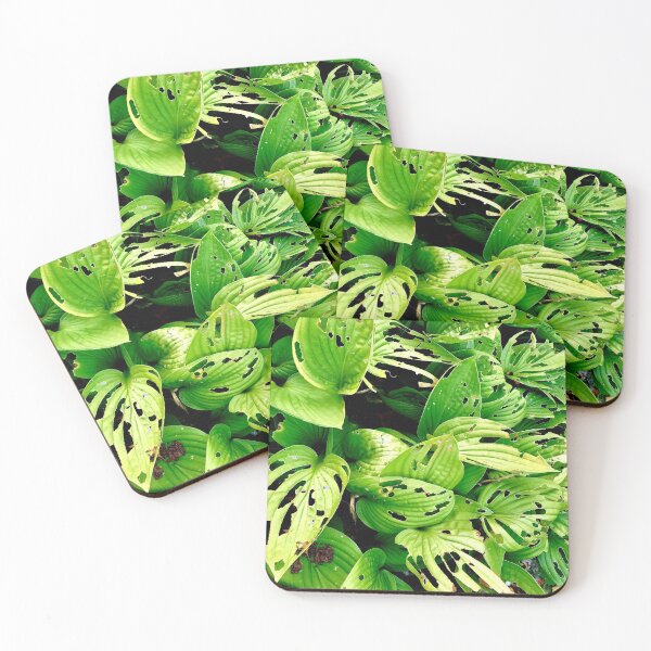 Item preview, hostas designed and sold by Mandi Collingridge.