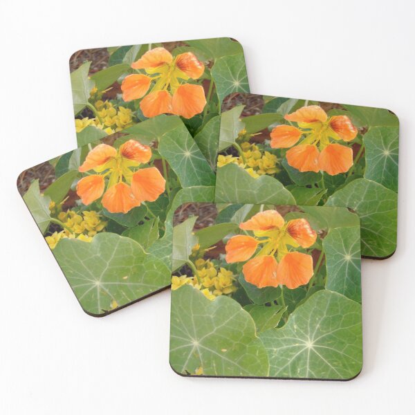 Item preview, Nasturtium designed and sold by Shulie1.