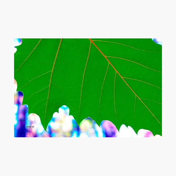 Think Big Photographic Print