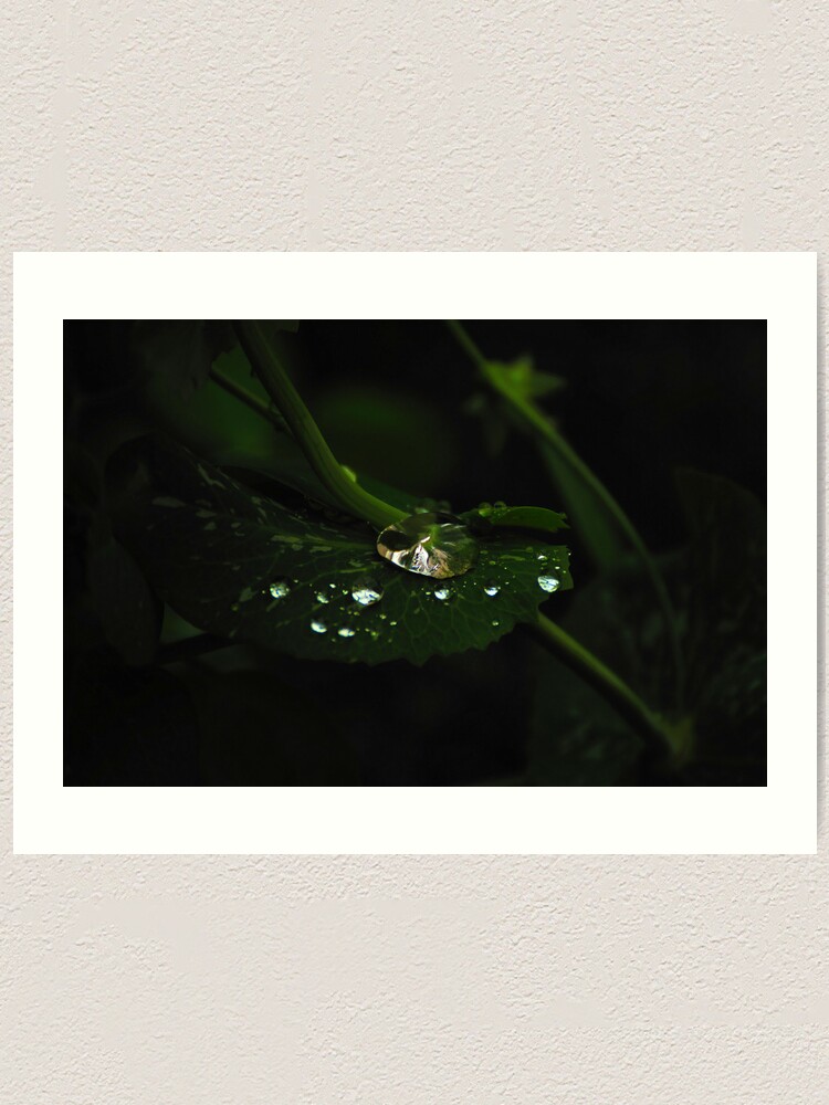 Alternate view of Water and Green Art Print
