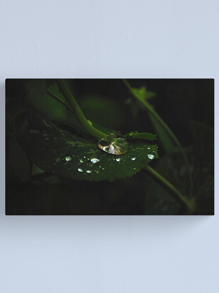Alternate view of Water and Green Canvas Print