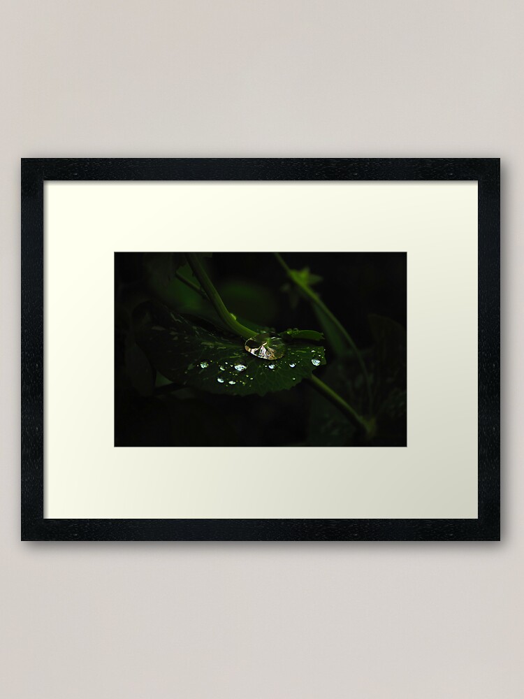 Alternate view of Water and Green Framed Art Print