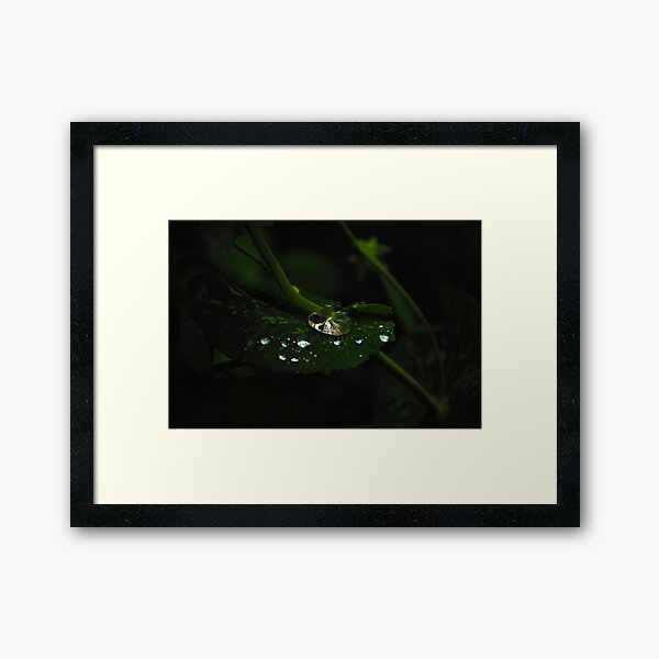 Water and Green Framed Art Print