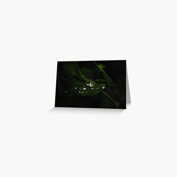 Water and Green Greeting Card