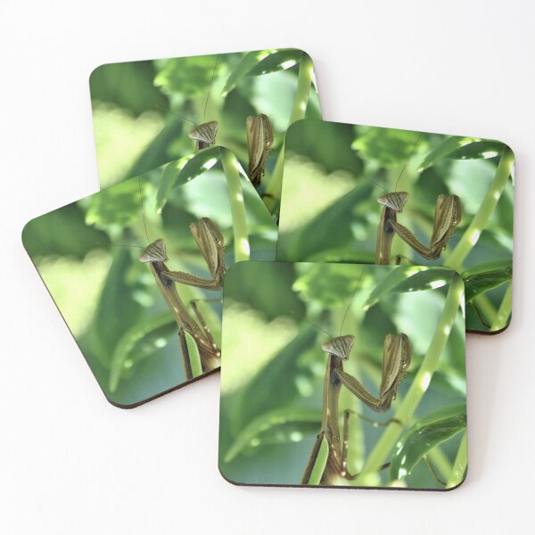 Item preview, Mindful Mantis designed and sold by DonnaM.