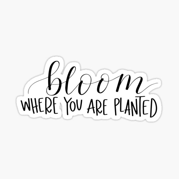 Bloom Where You Are Planted Stickers | Redbubble