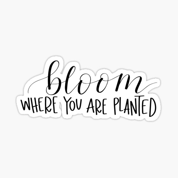 Bloom Where You Are Planted Sticker