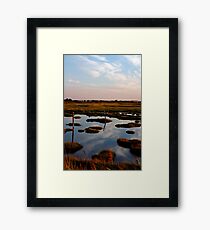 Wetlands Framed Print