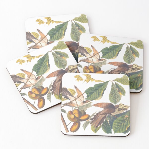 Item preview, Audubon's Yellow Billed Cuckoo designed and sold by Candice Davis.